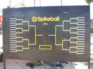 Spikeball Pro Division